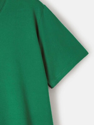 Camiseta Verde Bandeira T-Shirt Tee Lisa - No Sense (5)